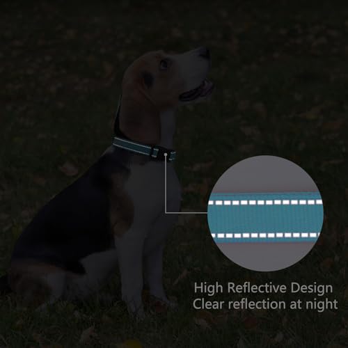 Reflective Dog Collar (Sky Blue / M:width 3/4"neck 14-20.5")