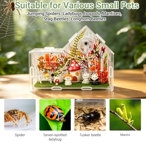 Acrylic Jumping Spider Enclosure Kit 25PCS with Decor (orange-Fairy Tale)