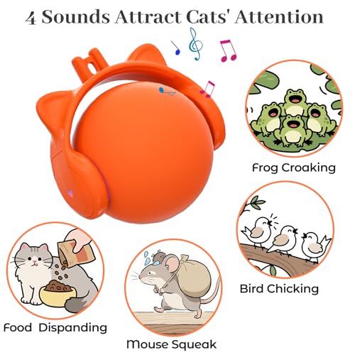 Cat Toys for Indoor Cats (Orange)
