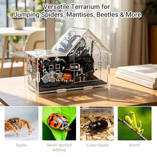 Acrylic Jumping Spider Enclosure Kit 16PCS with Decor (Black-Forest style)