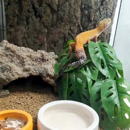 Fake Reptile Plants for Terrarium (Swiss Cheese)