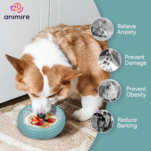 Dog Lick Bowl (XL / Teal)