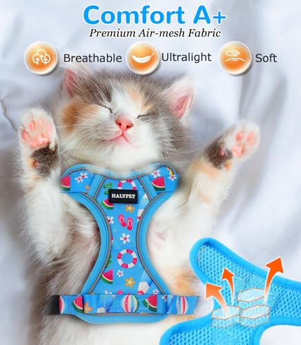 Cat Harness and Leash Set (H604 Pro Ocean Blue / X-Small (4-6lb))