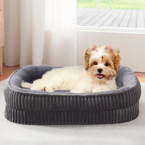 Orthopedic Dog Bed for Small Dogs Breeds (Dark Gray / 25"L x 21"W x 5.5"Th)