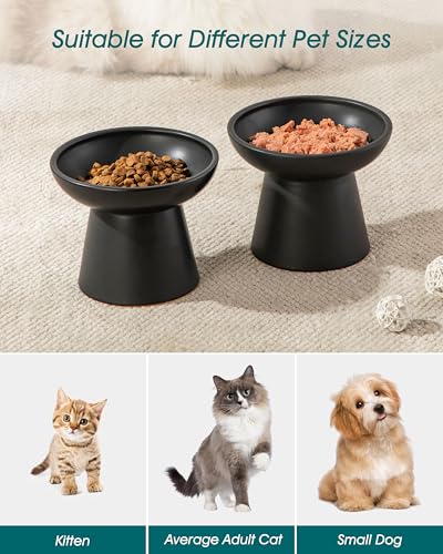 2 Pack Elevated Cat Food Bowls (Black)