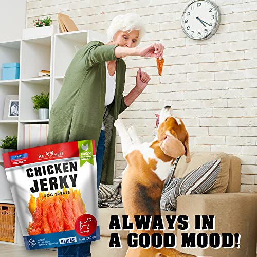 Dog Treats Chicken Jerky 1.5 lb