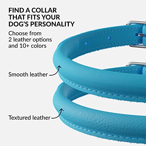 Tangle Free Rolled Leather Dog Collar (Light Blue / XXS)