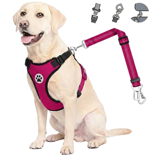 Dog Car Harness Seat Belt (X-Small / Rose)