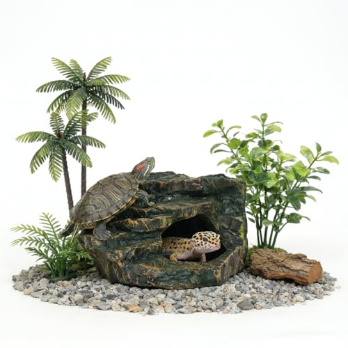 Gecko Tank Acccessories (M-Smooth ledge / Medium)