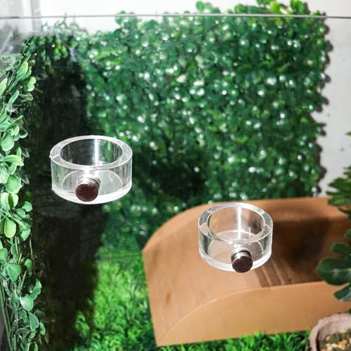 2 Pack Jumping Spider Enclosure Accessories