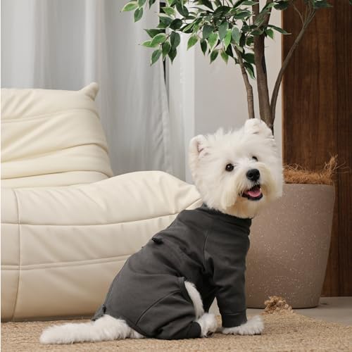 Recovery Suit for Large Dogs (Grey / XL)