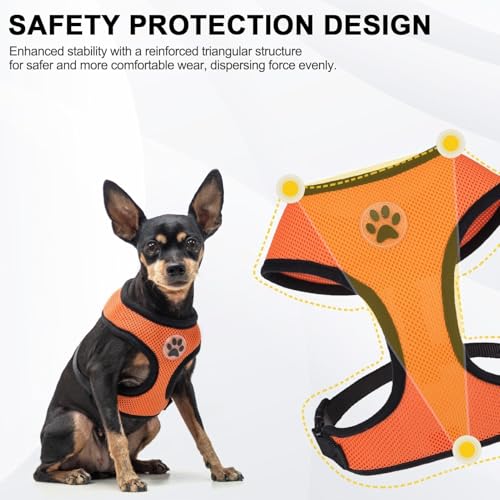 Small Dog Harness (XS (NECK: 10", CHEST: 10"-14") / Orange)
