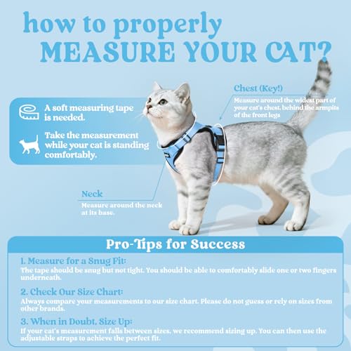 Cat Harness and Leash Set (M / Light Blue)