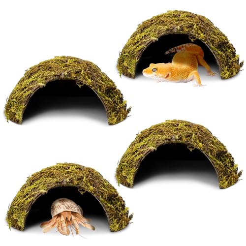 4 Pack Natural Green Moss Hermit Crab Hide Caves Coconut Reptile Hideouts (Moss Surface / 4 PCS)