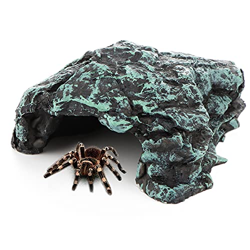 Spider Hide Shelter