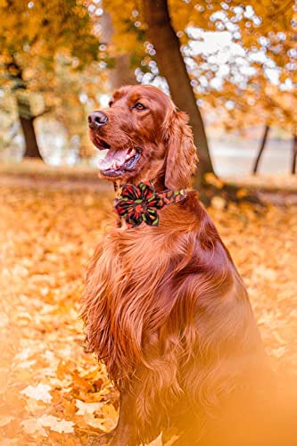 Fall Dog Collar with Bow (L / mapleleaf flower)
