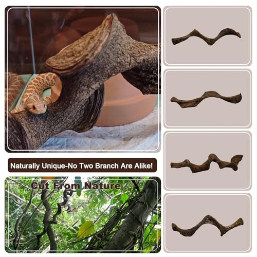 3PCS Natural Reptile Climbing Branches Decor (3PCS|S:0.75-1.25"T,13"H)
