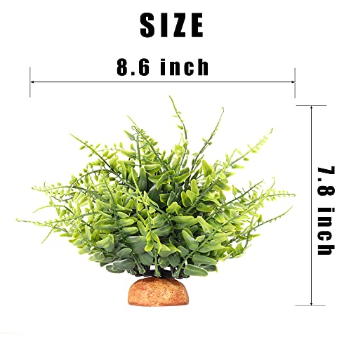 Green Boston Fern Reptile Plants (I-fake Green Boston Fern)