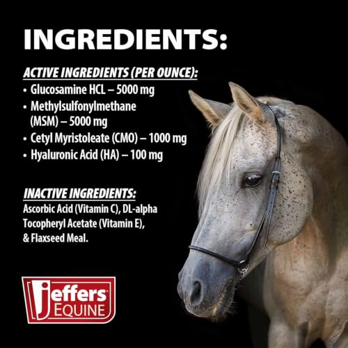 Motion Potion CM Joint Formula Supplement Powder for Horses (5 lbs - Up to 60 Day Supply)
