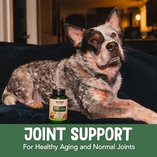 Pet Health Joint Support Supplement (90 Count)