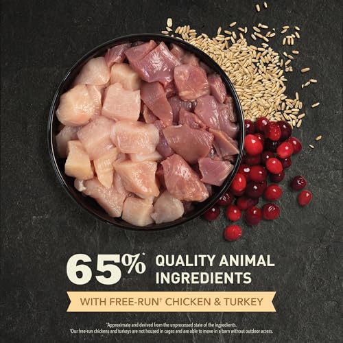 Dry Cat Food Senior Entrée Chicken Turkey and Duck 4lb Bag (4 Pound (Pack of 1))