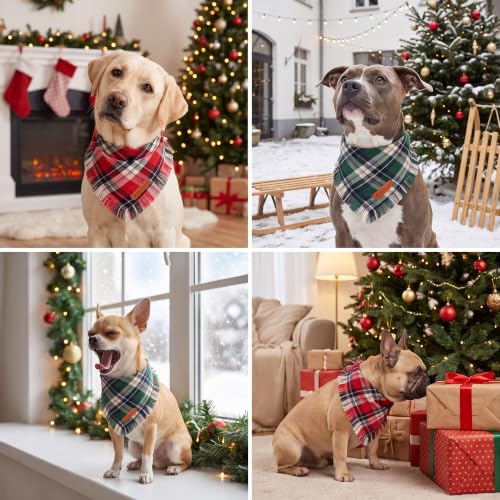 Dog Bandanas Christmas (Small / Red Green)