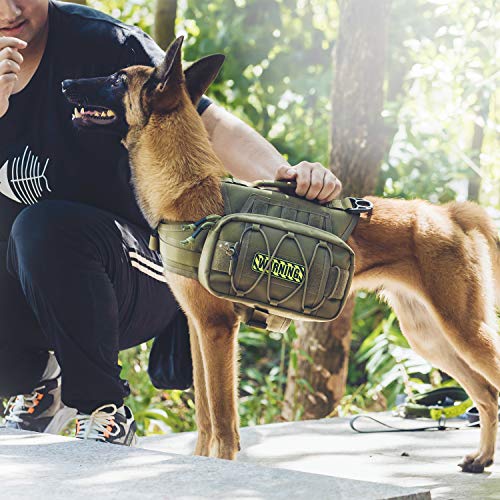 Dog Backpack for Medium & Large Dogs (Green / Medium)