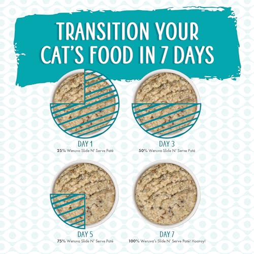 Wet Cat Food The Showcase Chowdown Variety Pack (5.5 Ounce (Pack of 16))