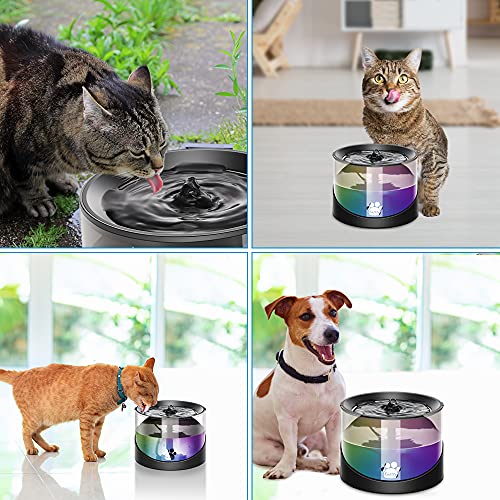 Cat Water Fountain (Black)