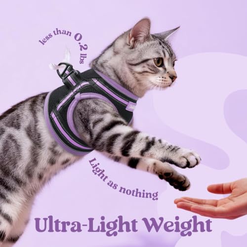 Cat Harness and Leash Set (XL / Black-Light Purple)