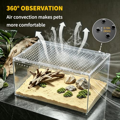 Small Reptile Terrarium (8" * 6" * 4")