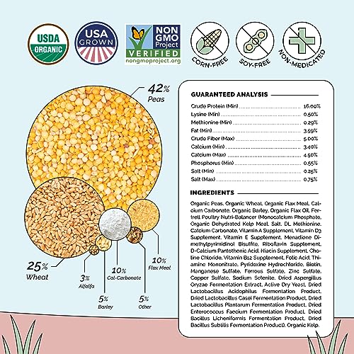 Organic Chicken Feed (Whole Grain / 23 Pound (Pack of 1))