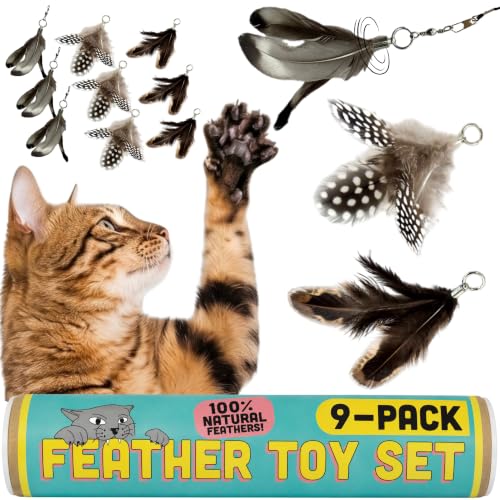 Forever Stick Refill 9 (Feather Toys Refill 9-Pack)