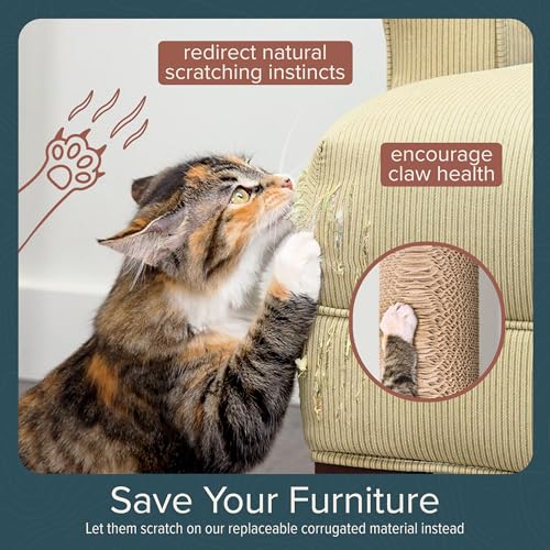 Floating Cat Shelf & Perch (Wall Mount / Ascentials Moonbeam Path)