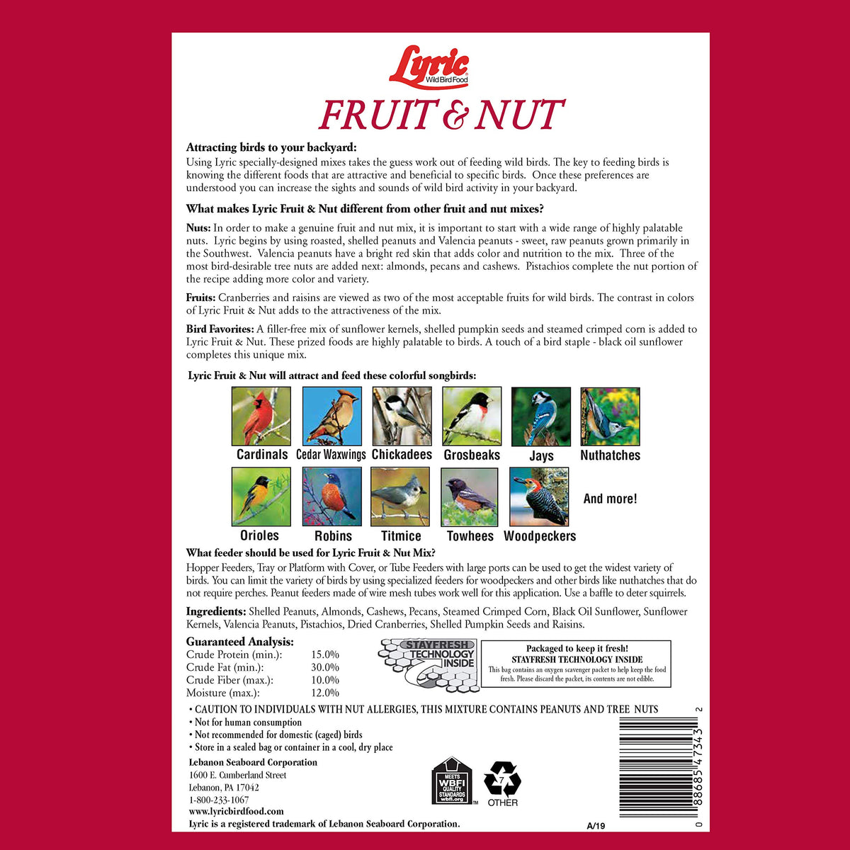 Fruit and Nut Wild Bird Seed Mix (1 Count (Pack of 2))