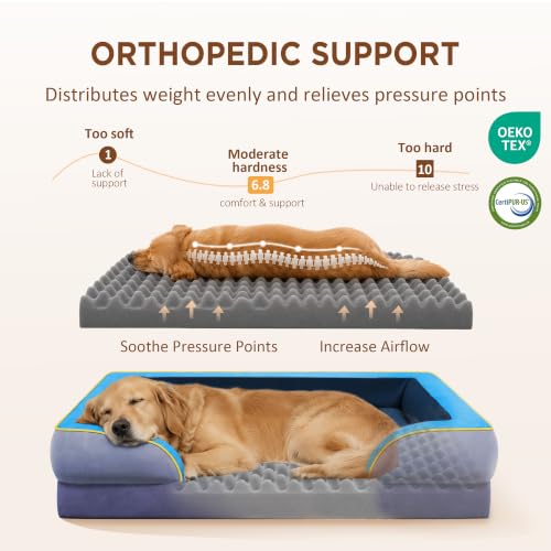 Orthopedic Dog Bed for Extra Large Dogs with Bolster (45.0"L x 35.0"W x 8.5"Th / Hidden Bay)