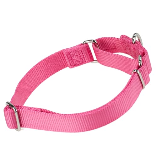 Martingale Dog Collars for Medium Dogs (Medium / Candy Pink)