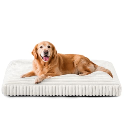 Dog Beds Large Sized Dog (Cream / L(35"x23"x4"))