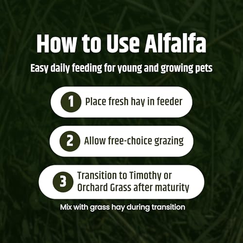 Alfalfa Hay Protein Rich Soft Leaf Food for Young Growing Animals (10 Pound (Pack of 2))