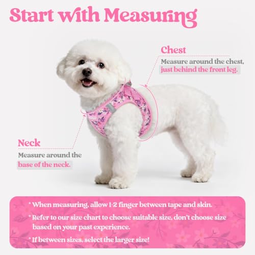 Dog Harness Small Sized and Leash Set (Pink Floral / S (chest: 15.1 - 16.5"))