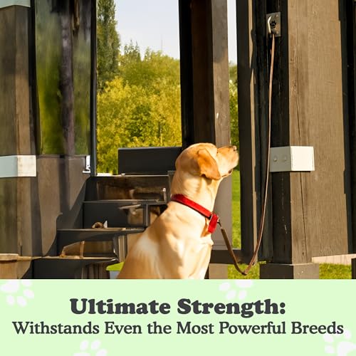 Canine Hitch Secure Dog Leash Parking Mounted Indoor (Ultimate Strength (6 packs))