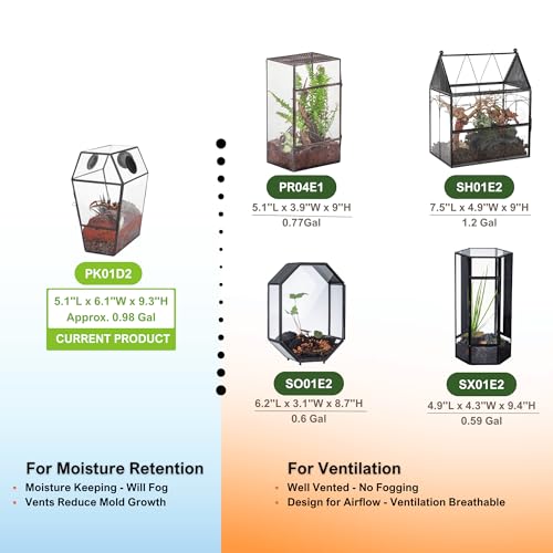 Gothic Glass Enclosure for Jumping Spider