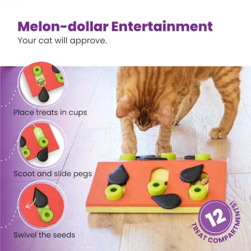 Nina Ottosson Melon Madness Puzzle & Play Cat Toy