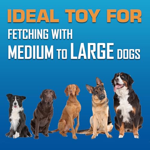 Tire Flyer Dog Toy Gift Set (Multicolor / 10 Inch (Pack of 3))