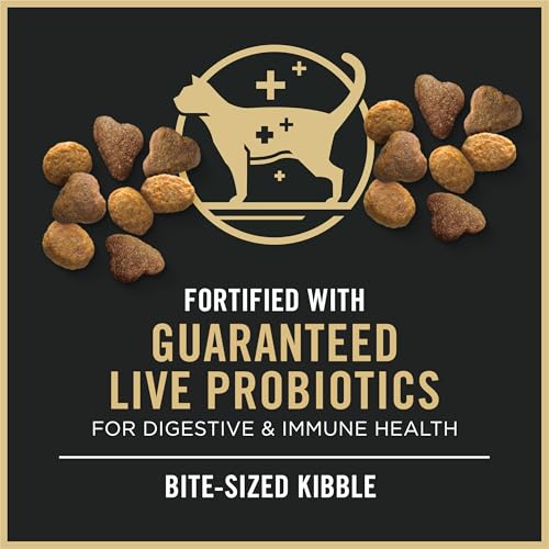 High Protein Dry Cat Food (3.5 Pound (Pack of 1))