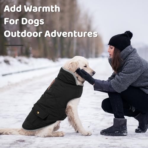 Waterproof Dog Winter Coat Warm Puffer Jacket Cold Weather Vest (X-Large / Black)
