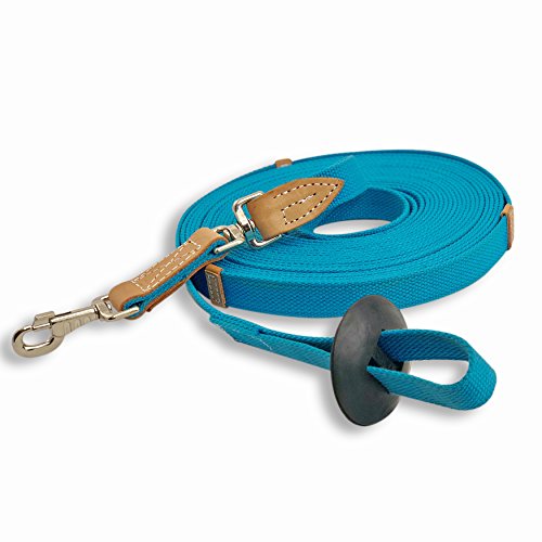 35' Flat Cotton Web Lunge Line with Bolt Snap & Rubber Stop (Turquoise / 35')