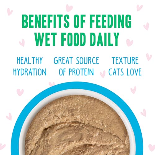 B.F.F. Play Best Feline Friend Paté Lovers (2.8 Ounce (Pack of 12))