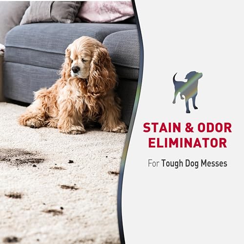 Advanced Dog Stain & Odor Eliminator Foam (Foam / 17.5 Ounce (Pack of 6))