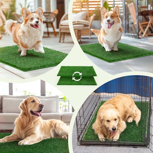 Dog Grass Pee Pads (18.1*23.1 inch)